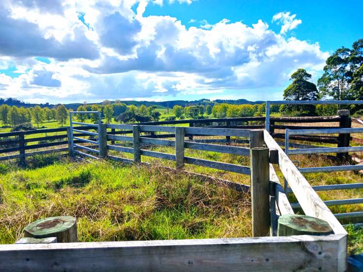 7565 State Highway 1 Kaitaia_11