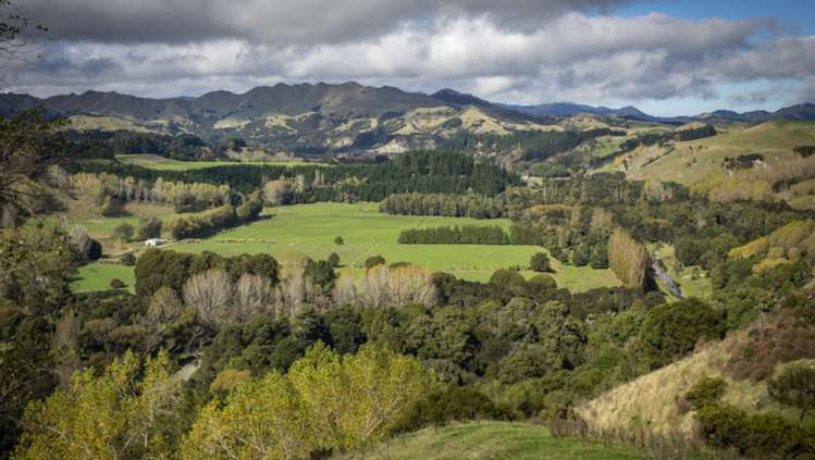 851 Clifton Grove Road Gladstone_18