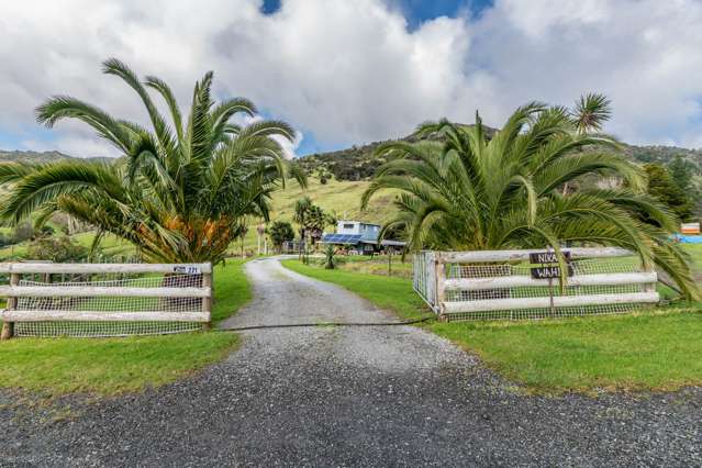 271 Takahue Saddle Road Takahue_2