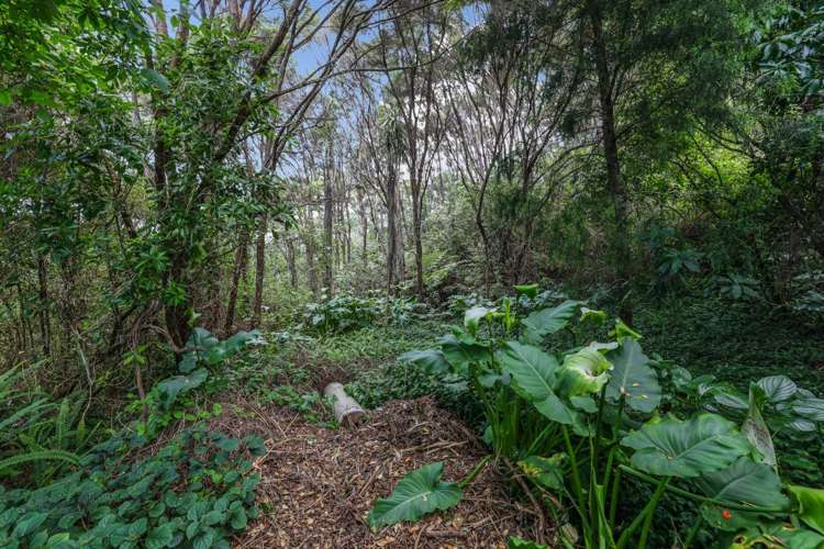 2/38 Portobello Place Torbay_32