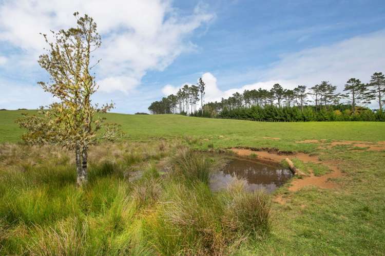 54 Mokoroa Valley Road Waitakere_13