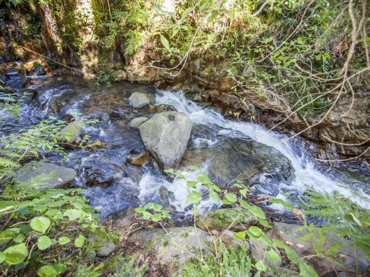 18 Patui Avenue Ngarimu Bay_19