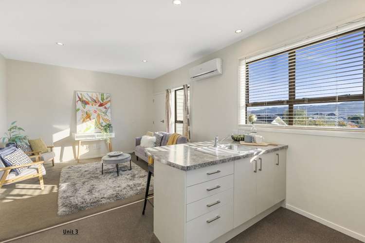  3/33 Tory Street Petone_2