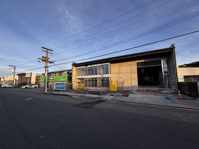 115 Nelson Street Petone_3