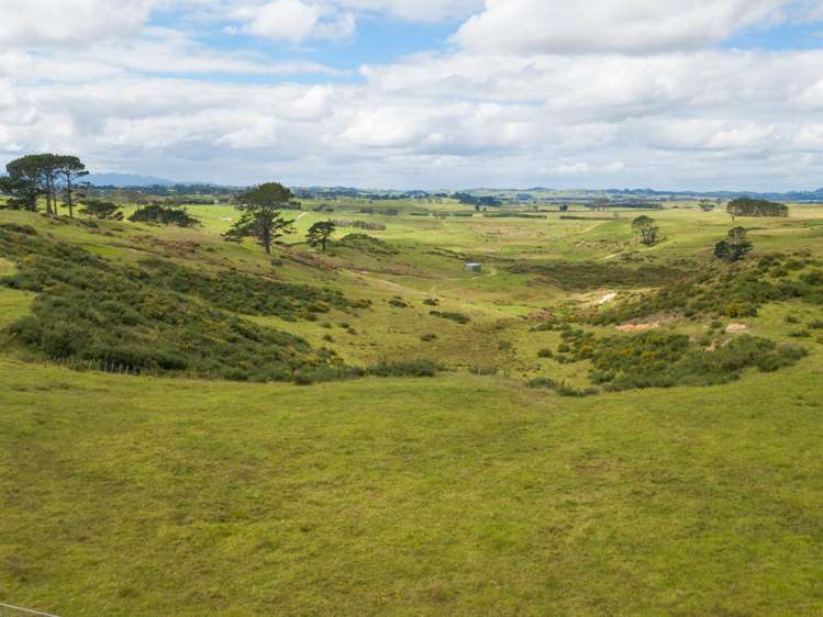 455 Mt Wesley Coast Road Dargaville_22