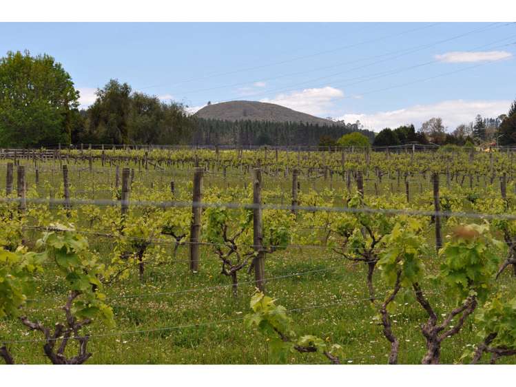 74 Guy Road Kaikohe_10