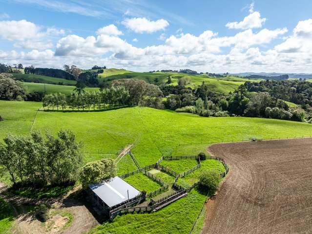 1232B Hetherington Road Huntly_2