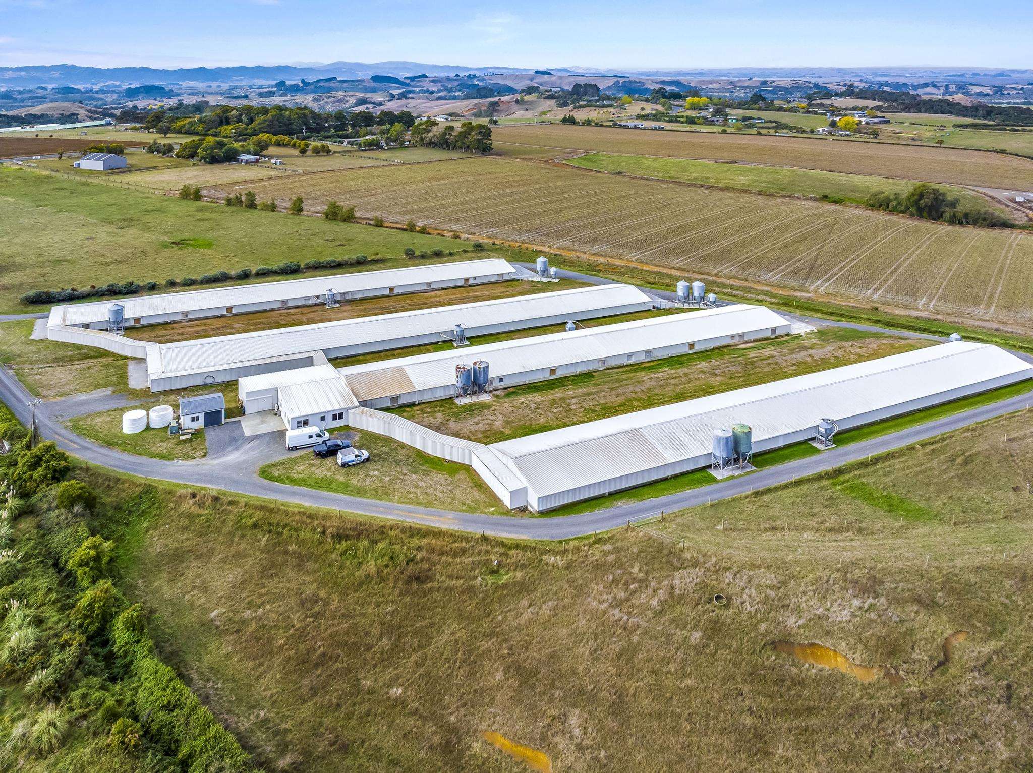 Hatch plan to enter poultry industry