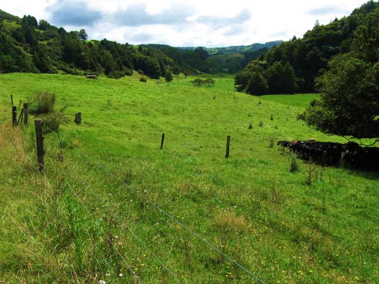 42 Matheson Road Hukerenui and Surrounds_17