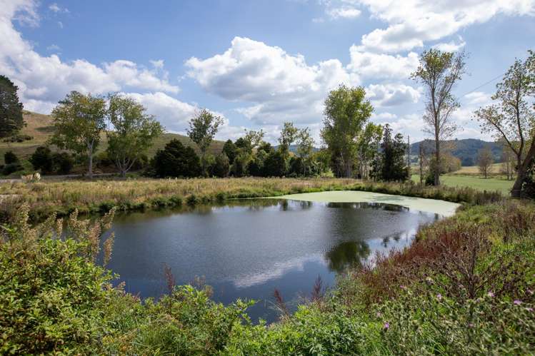 95 Mason Road Whangarei Surrounds_19