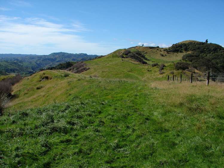 839 Ruatiti Road Raetihi_5