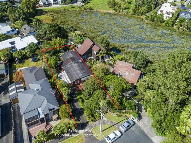 42 Napier Avenue Takapuna_1