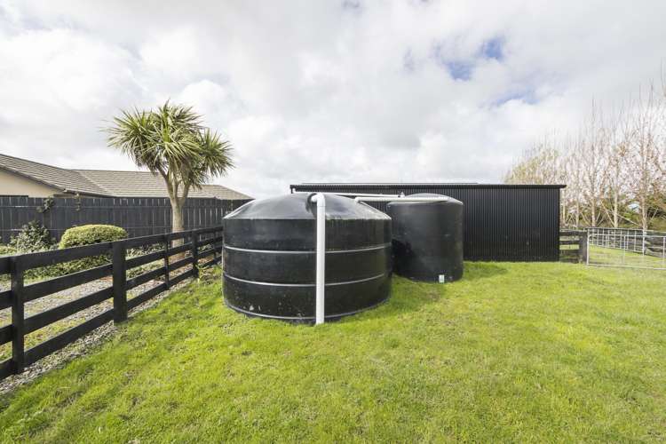 317a Mount Biggs Road Halcombe_19