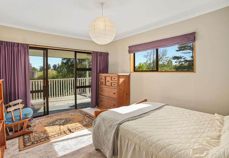 32b Ward Road Cheviot_14