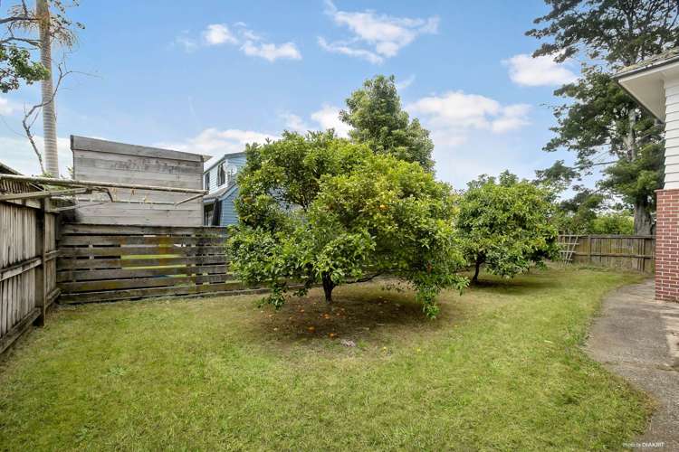 85 Campbell Road One Tree Hill_7