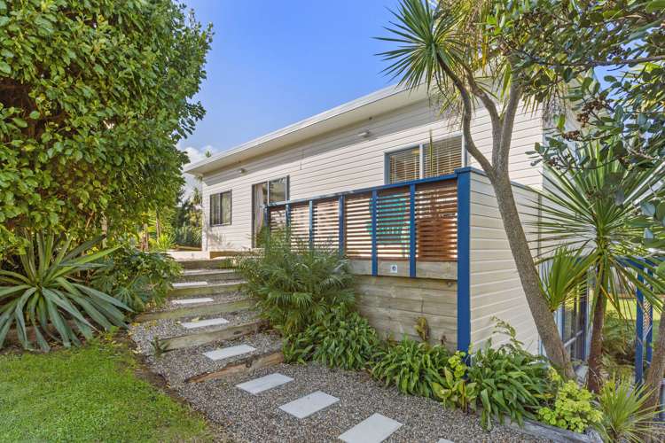 4a Violet Street Raglan_10