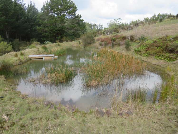 2203 Ararua Road Matakohe_13