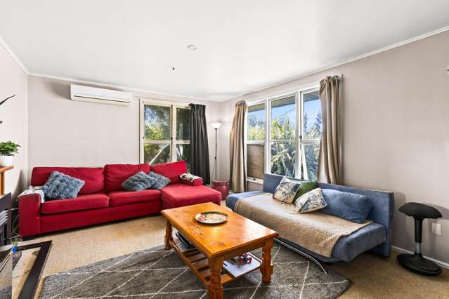 23 Geddis Avenue Maraenui_4
