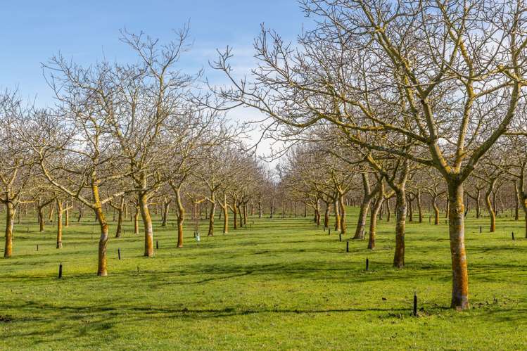 973 Hoskyns Road West Melton_32