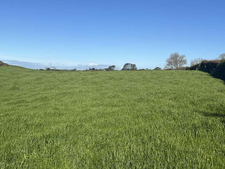 1061A Carrington Road Hurworth_18