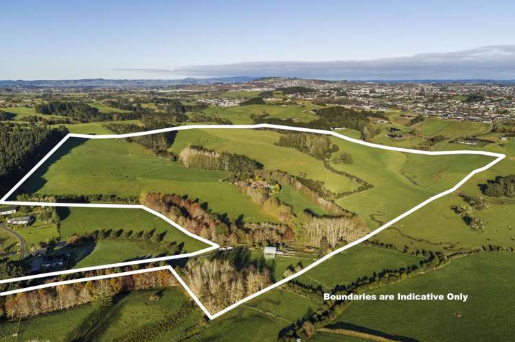 Runciman Road Pukekohe East_11