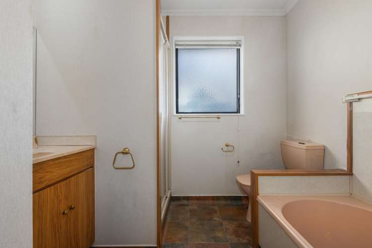 50 Winchester Street Levin_13