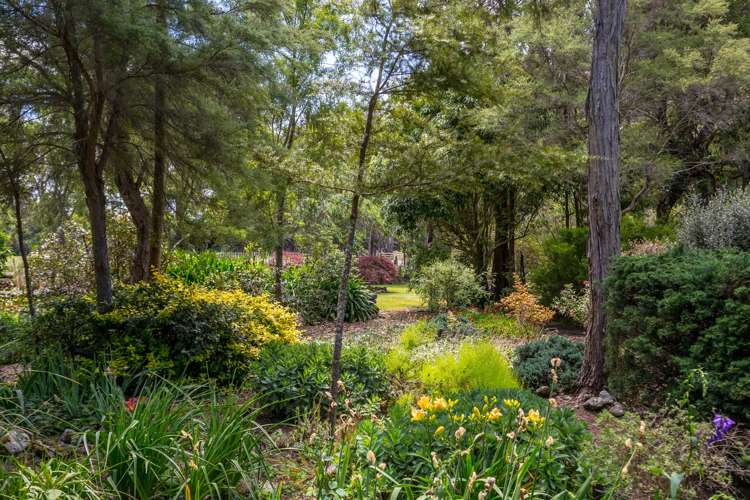 365 Norfolk Road Carterton_23