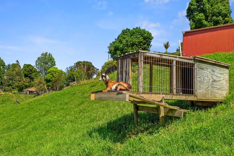 2 Furn Park Lane Tauriko_23