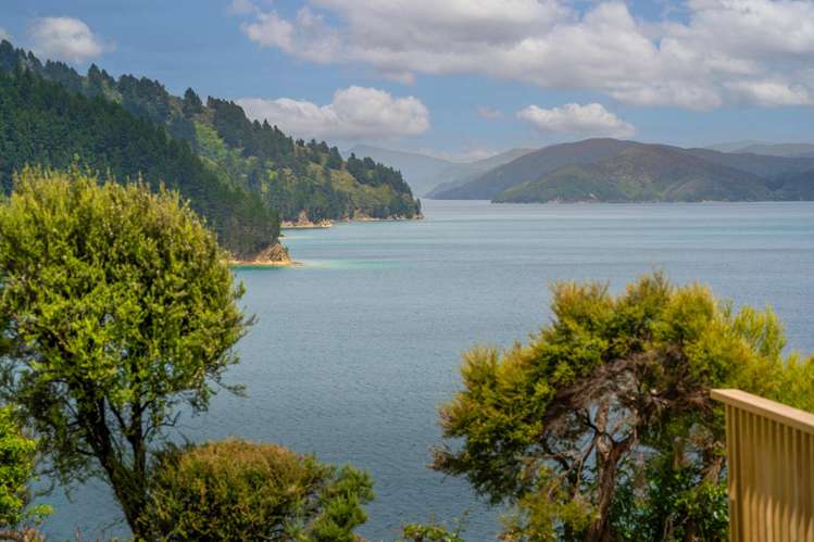 Ahitarakihi Bay Marlborough Sounds_31