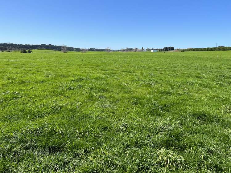 149 Paerewa Road Waverley_16