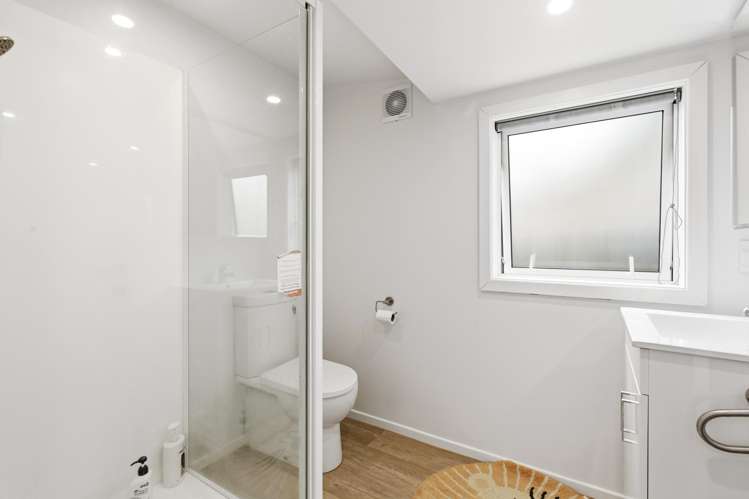 29 Palm Avenue Lyall Bay_14