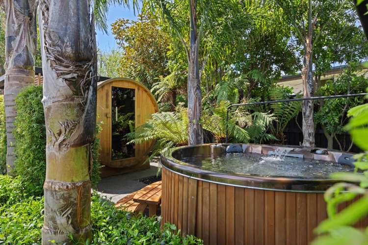 68c Colemans Road Springlands_9