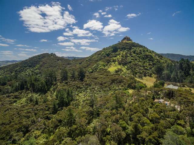 Saint Pauls Road Whangaroa_3