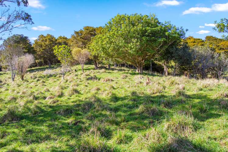 598A Oneriri Road Kaiwaka_21