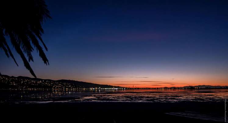 94 Rocking Horse Road Southshore_28