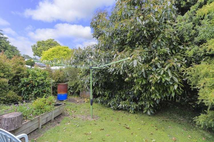 4 Margaret Drive Omokoroa_20