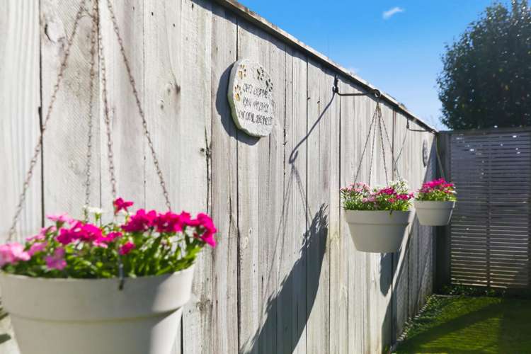 39B Taupo Avenue Mt Maunganui_3