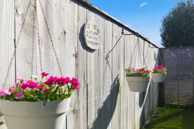 39B Taupo Avenue Mt Maunganui_3