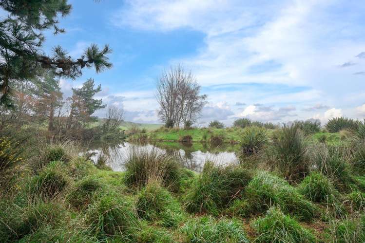 243 Island Edendale Road Wyndham Surrounds_16