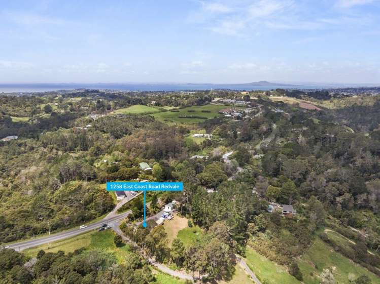 1258 East Coast Road Redvale_30