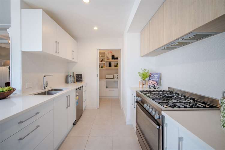 268 Lyttelton Street Spreydon_1