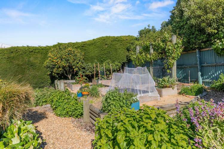 126 Marine Drive Diamond Harbour_22