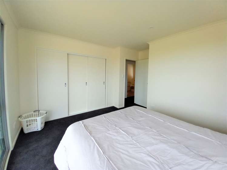 169 Alma Road Westport_5