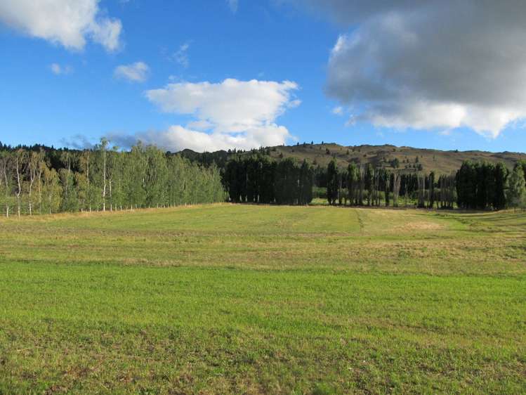 Blackman Road Alexandra_6