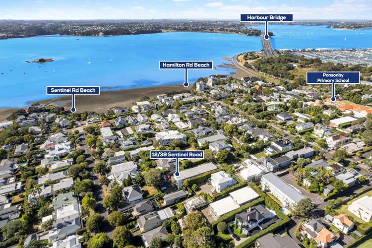 12/39 Sentinel Road Herne Bay_15