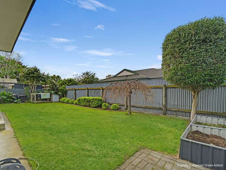 179A Nelson Crescent Napier South_22