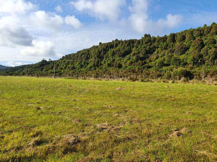 Blue Spur Road Hokitika_8