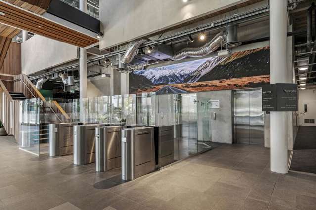 213 Tuam Street Christchurch Central_4