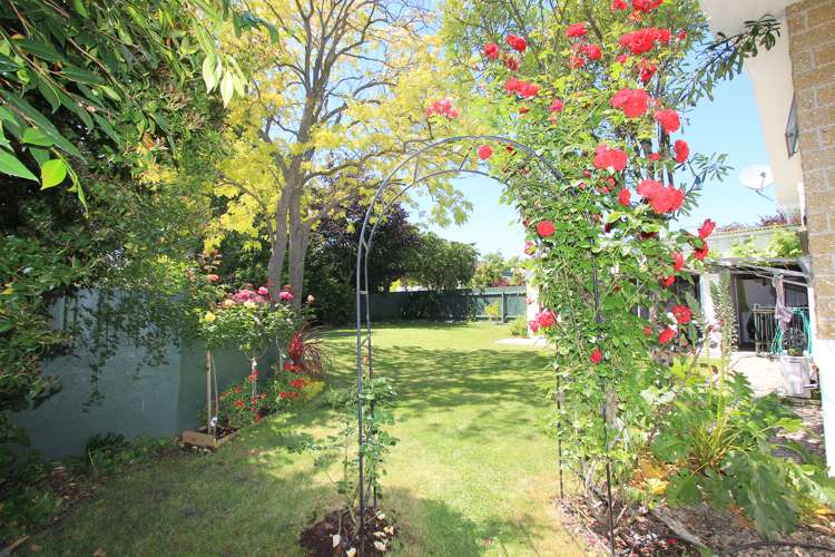 1 Carlyle Crescent Witherlea_5