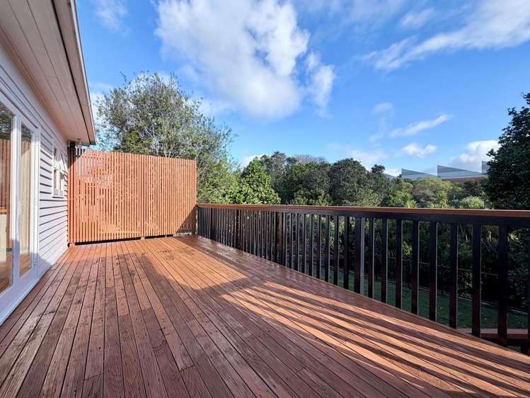 6 Parawai Crescent Ponsonby_8